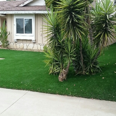 Grass Carpet Del Rio, California Landscaping Business, Front Yard Landscaping