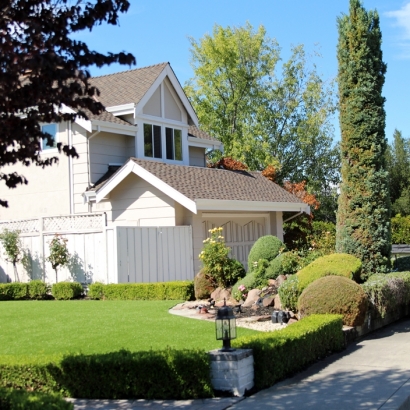 Grass Carpet East Oakdale, California Paver Patio, Front Yard Landscape Ideas