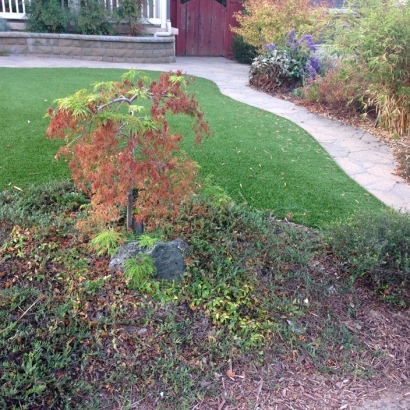 Grass Carpet Oakdale, California Home And Garden, Front Yard Ideas