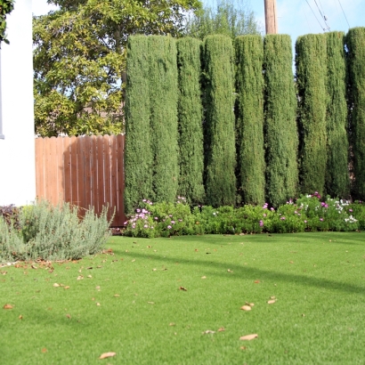 Grass Carpet Valley Home, California Rooftop, Small Front Yard Landscaping