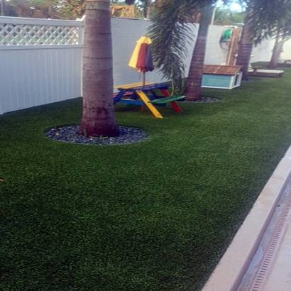 Grass Carpet Westley, California Landscape Design, Backyard Makeover