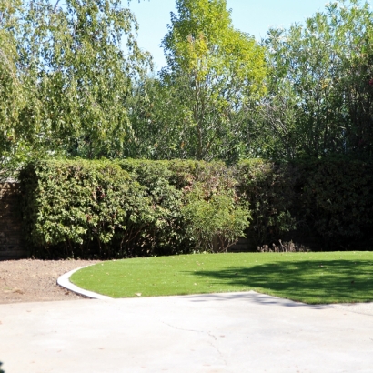 Grass Turf Patterson, California Roof Top, Backyard Landscaping