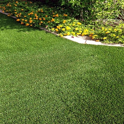 Grass Turf Turlock, California Landscaping, Front Yard Landscaping