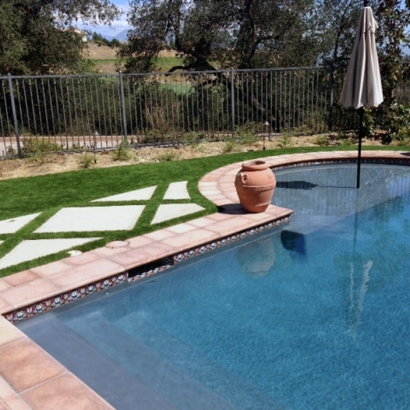 Grass Turf West Modesto, California City Landscape, Backyard Designs