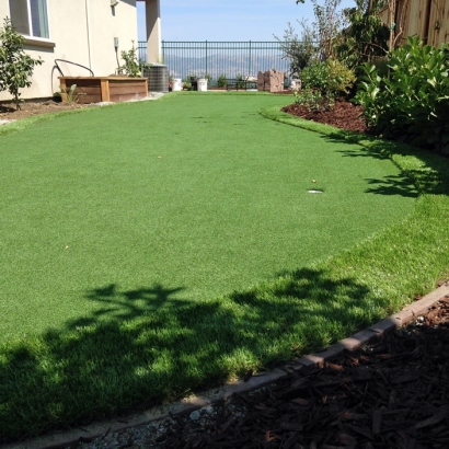 Green Lawn East Oakdale, California Lawns, Backyard Garden Ideas