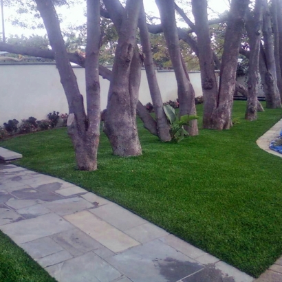 Green Lawn Hughson, California Design Ideas, Front Yard Landscaping Ideas