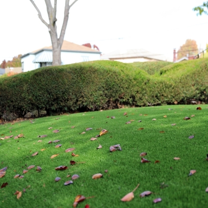 Green Lawn Modesto, California Landscaping Business, Front Yard Landscaping