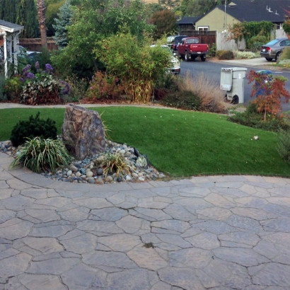 Green Lawn Newman, California Backyard Playground, Front Yard Design