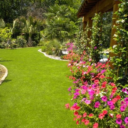 Lawn Services Oakdale, California Gardeners, Backyard Landscaping Ideas