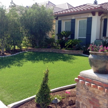 Outdoor Carpet Empire, California Landscape Ideas, Front Yard