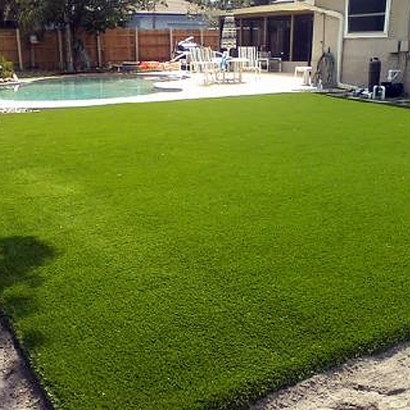 Plastic Grass Hughson, California Design Ideas, Small Backyard Ideas