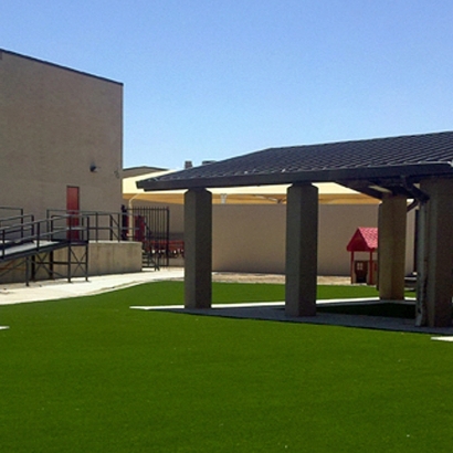 Plastic Grass Hughson, California Landscape Design, Commercial Landscape