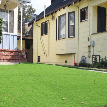 Plastic Grass Modesto, California Roof Top, Front Yard Ideas