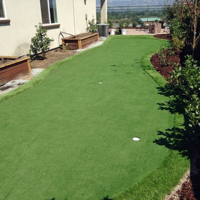 Plastic Grass Riverdale Park, California Office Putting Green, Backyard Designs