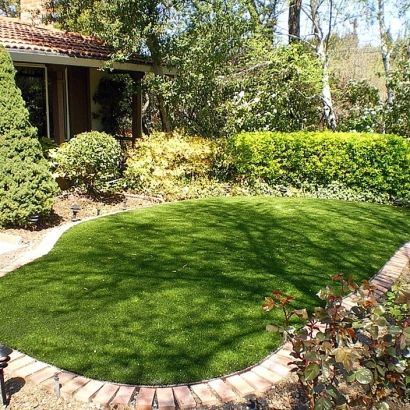 Plastic Grass Shackelford, California Paver Patio, Backyard Makeover