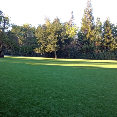 Synthetic Grass Cost Hickman, California Lawns, Parks