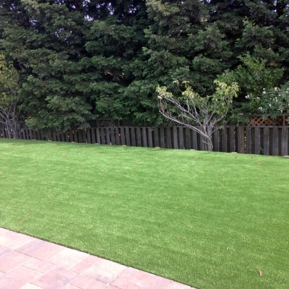 Synthetic Grass Cost Newman, California Lawn And Landscape, Backyard Landscaping Ideas