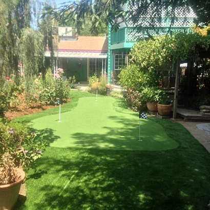 Synthetic Grass Cost Patterson, California Backyard Playground