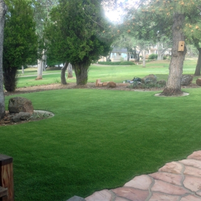 Synthetic Grass Cost Shackelford, California Garden Ideas, Front Yard Ideas