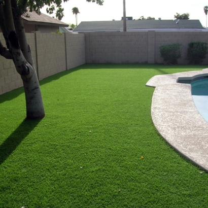 Synthetic Grass Cost Shackelford, California Landscape Photos, Backyard Ideas