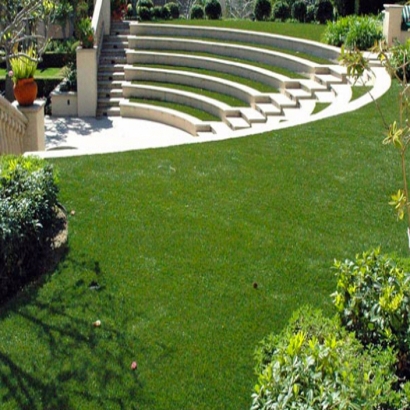 Synthetic Grass Modesto, California Design Ideas