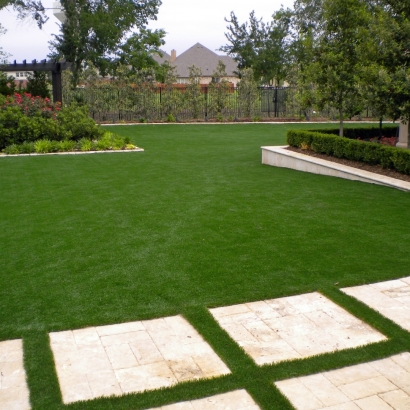 Synthetic Grass Newman, California City Landscape, Backyard Garden Ideas