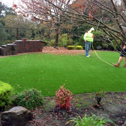 Synthetic Grass Shackelford, California Landscape Ideas, Backyard Landscape Ideas