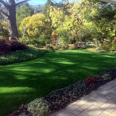 Synthetic Lawn Crows Landing, California City Landscape, Backyard Design