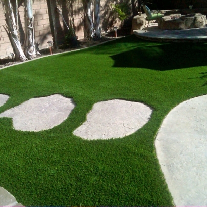 Synthetic Lawn Denair, California Backyard Playground, Backyard