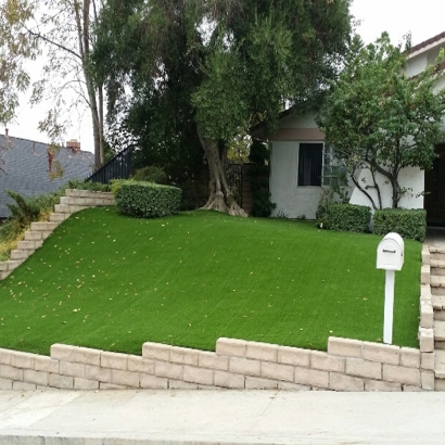 Synthetic Lawn East Oakdale, California City Landscape, Front Yard