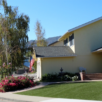 Synthetic Lawn Hughson, California City Landscape, Front Yard Design