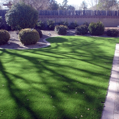 Synthetic Lawn Newman, California City Landscape, Front Yard