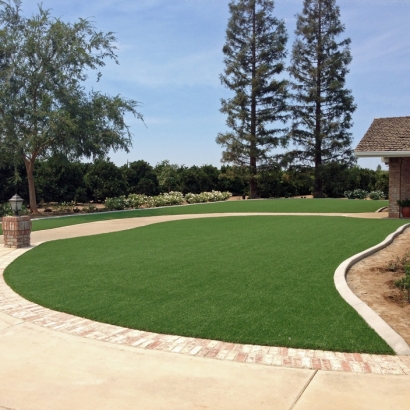 Synthetic Lawn Oakdale, California Landscape Photos, Front Yard Landscape Ideas