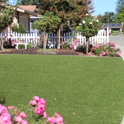 Synthetic Lawn Patterson, California Backyard Playground, Small Front Yard Landscaping