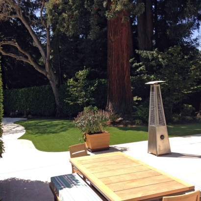 Synthetic Lawn Riverbank, California Rooftop, Small Backyard Ideas