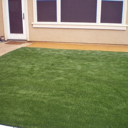 Synthetic Turf Bystrom, California Landscape Ideas, Small Backyard Ideas