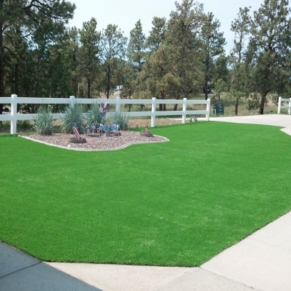 Synthetic Turf Oakdale, California Gardeners, Front Yard Design