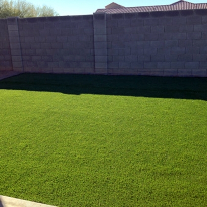 Synthetic Turf Supplier East Oakdale, California City Landscape, Backyard Design