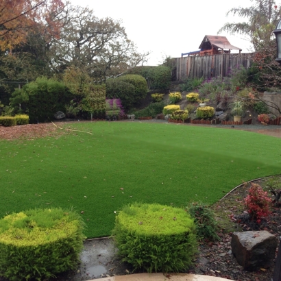 Synthetic Turf Supplier Hickman, California Landscape Photos, Backyards