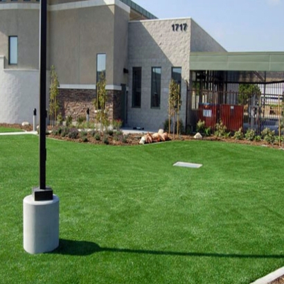 Synthetic Turf Turlock, California Rooftop, Commercial Landscape