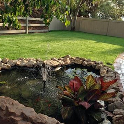 Turf Grass Crows Landing, California Landscape Design, Backyard Landscaping