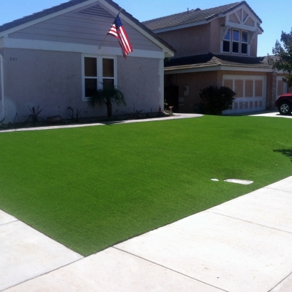 Turf Grass Oakdale, California Backyard Playground, Front Yard Landscape Ideas