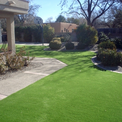 Turf Grass Riverdale Park, California Landscape Design, Front Yard