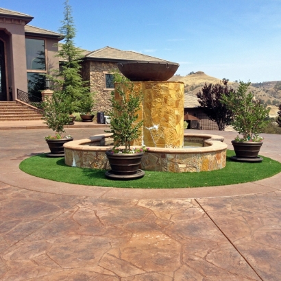 Turf Grass Turlock, California Landscaping, Front Yard Landscaping Ideas