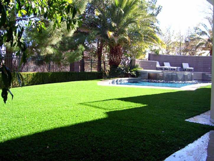 Artificial Grass Carpet Bystrom, California Roof Top, Backyard Makeover