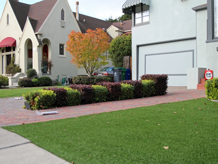 Artificial Grass Carpet Bystrom, California Garden Ideas, Front Yard Landscaping Ideas