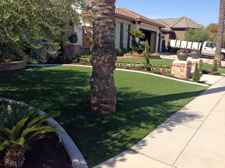 Artificial Grass Carpet East Oakdale, California Garden Ideas, Front Yard Landscaping