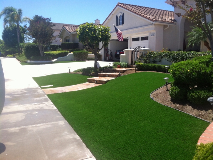 Artificial Grass Carpet Hickman, California Gardeners, Front Yard Ideas