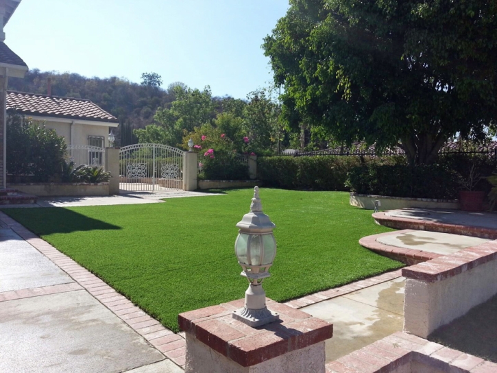 Artificial Grass Carpet Newman, California Landscape Photos, Landscaping Ideas For Front Yard