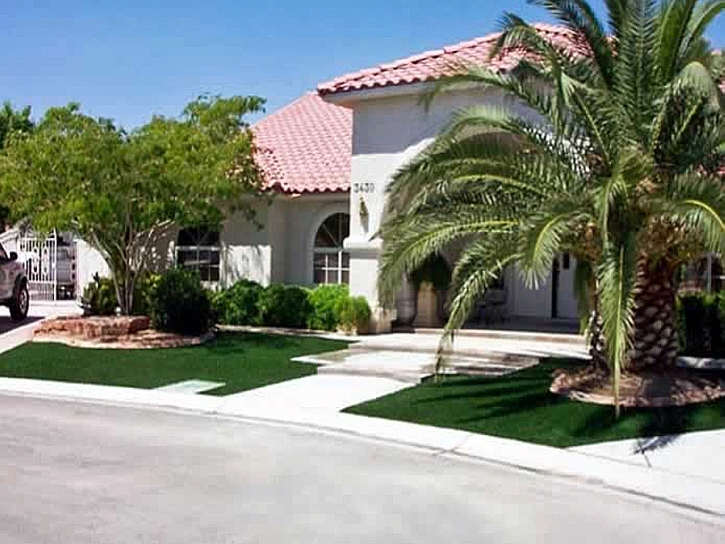 Artificial Grass Carpet Newman, California Landscaping, Front Yard Landscaping Ideas